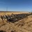 calkins-40'-field-cultivator-image-3