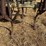 calkins-40'-field-cultivator-image-13