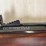 henry-golden-boy-2nd-amendement-22lr-rifle-image-11
