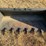 bobcat-skid-steer-tooth-bucket-image-2