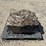 large-crinoid-fossil-rock-from-limestone-quarry-image-8