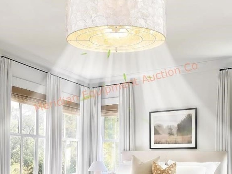boho-coastal-ceiling-fan-with-light-and-remote-image-6