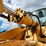 2011-liebherr-l586-image-50