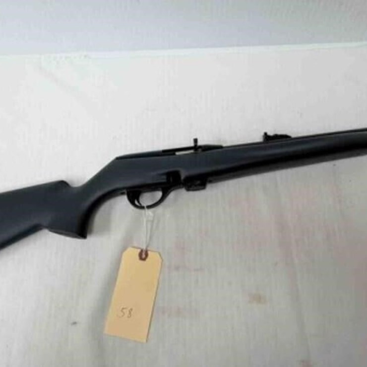 Remington 597 22LR Rifle