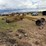 landplane-image-2