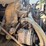 #1013-•-1990-international-f-8100-truck-image-21
