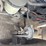 2018-international-durastar-4300-image-42