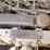 2016-skyjack-sj86t-image-23