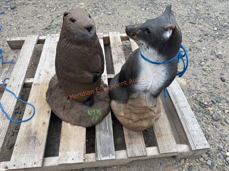 2--animal-targets-image-1