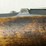 finland-m39-7.62x54r-rifle-image-38