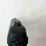 hi-point-arms-mod.-jcp-40cal-pistol-image-8