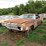 1966-chevrolet-impala-2dr-ht-ss-image-1