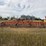 field-cultivator-image-6