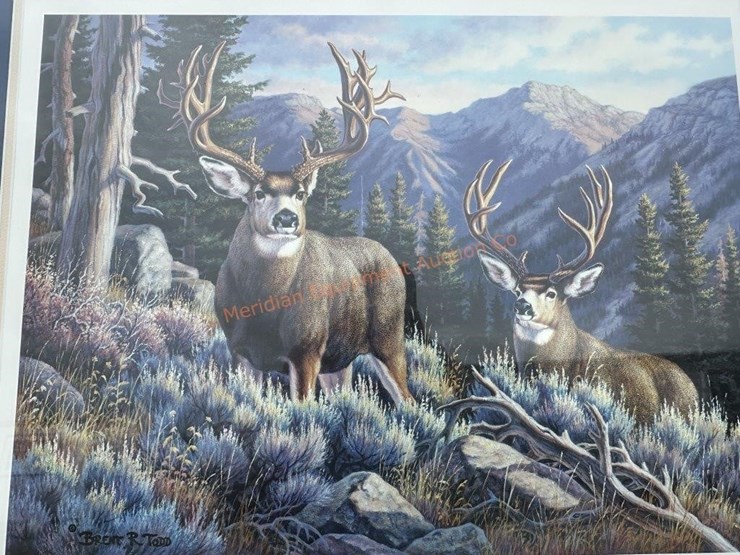 nwtf-prints-image-6