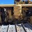 caterpillar-d4-image-9
