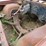 1965-chevrolet-belair-4dr-wagon-image-12