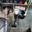 2008-kenworth-t800-image-18