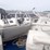1989-searay-340-sedan-bridge-flybridge-serr1759e98-image-21