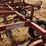 allis-chalmer-800-chisel-plow-image-32