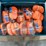 unused-greatbear-ratchet-tie-down(s)-image-7