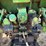 1974-john-deere-4430-image-15