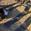 #89-•-(1)-set-loose-48”-forks-image-1