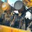 1989-komatsu-wa320-1-image-26
