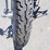 1975-harley-davidson-iron-head-sportster-3a35016h5-image-30