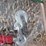 unused-greatbear-9,200-lb-ratchet-binder(s)-&-image-4