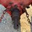 ford-tractor-image-6