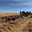 calkins-40'-field-cultivator-image-6
