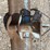 #53023-•-southeast-6’-blade-inv#53023-image-9