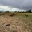 landplane-image-5