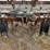 monosem-6-row-vacuum-planter--dnr-image-9