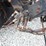 1986-case-ih-685xl-image-15