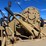 caterpillar-d4-image-12