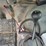 2006-ford-f550-image-48