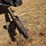 1981-allis-chalmers-gleaner-n-series-header-image-7