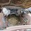 1966-chevrolet-impala-4dr-sedan-image-7