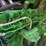 2000-john-deere-9650-sts-image-50