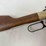henry-golden-boy-2nd-amendement-22lr-rifle-image-4