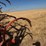 allis-chalmer-800-chisel-plow-image-21