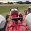 ford-9n-image-9