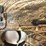 dpms-a15-.223-rifle-image-11
