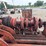 massey-ferguson-10-image-17