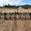 lorenz-row-crop-cultivator-16'-image-7