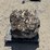 large-crinoid-fossil-rock-from-limestone-quarry-image-6