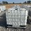 #50010-•-lot-of-(5)-poly-tank-w/cage-inv#50010-image-2