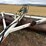 heavy-roller-15'-image-11