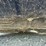#47174-•-*inop-2008-toyota-avalon-sedan-4t1bk36b78u318274-inv#47174-image-35